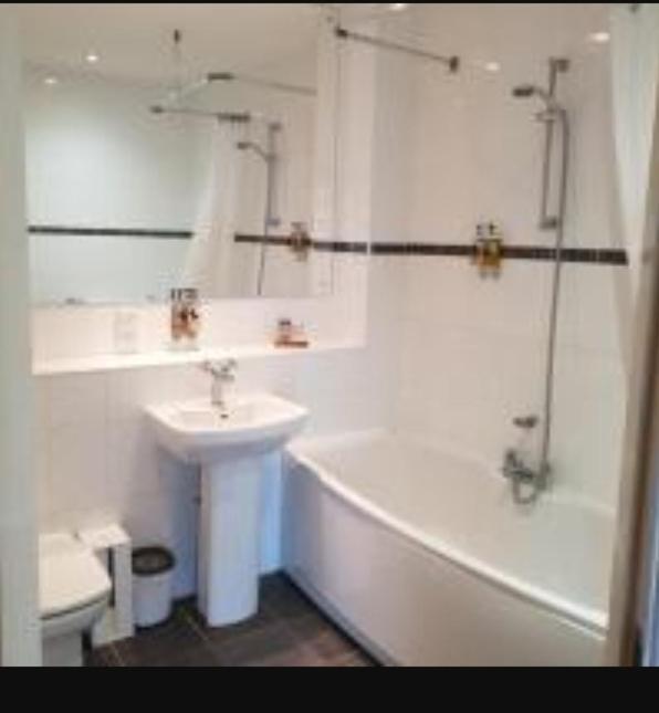 Parc Y Bryn Luxury Penthouse Apartment Aberystwyth Dış mekan fotoğraf