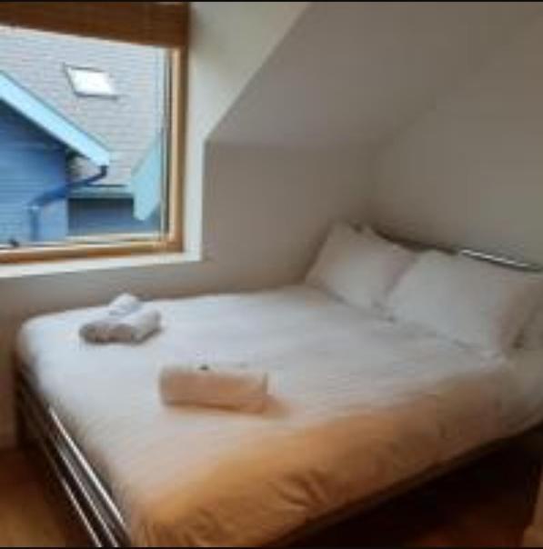 Parc Y Bryn Luxury Penthouse Apartment Aberystwyth Dış mekan fotoğraf