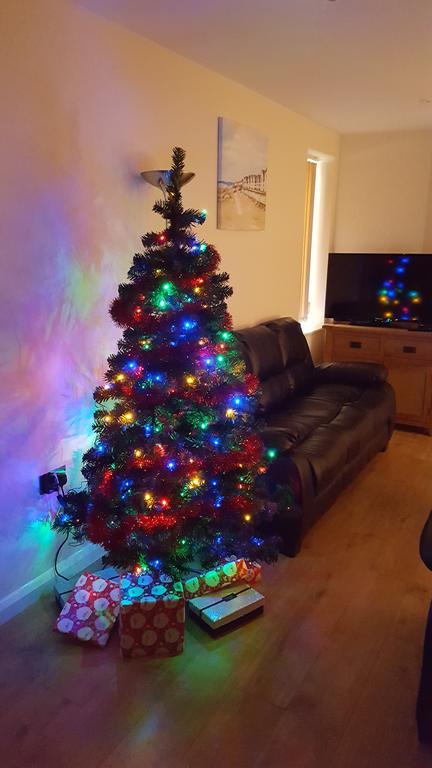 Parc Y Bryn Luxury Penthouse Apartment Aberystwyth Dış mekan fotoğraf