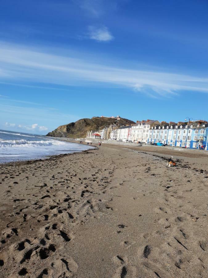 Parc Y Bryn Luxury Penthouse Apartment Aberystwyth Dış mekan fotoğraf